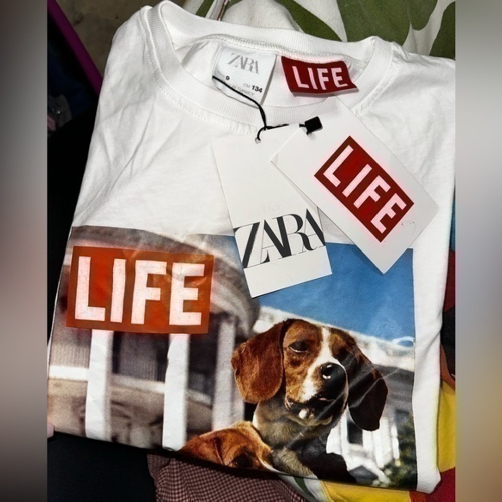 ZARA Life Photographic t shirt 1165/612
